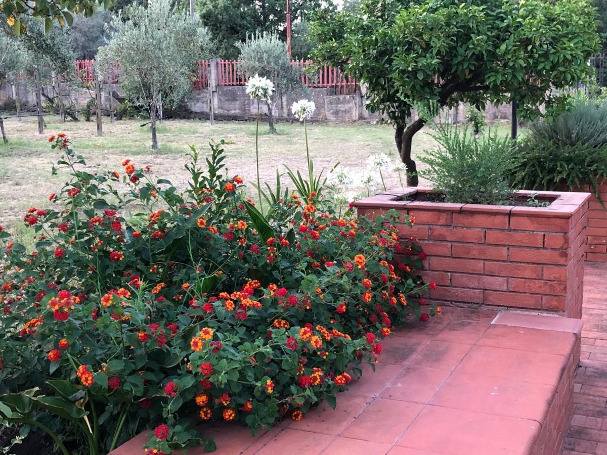 Villa Carolea Acireale Exterior photo